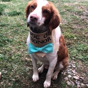 Meet your Posher, Beth